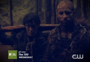 the 100 2x10 Bellami